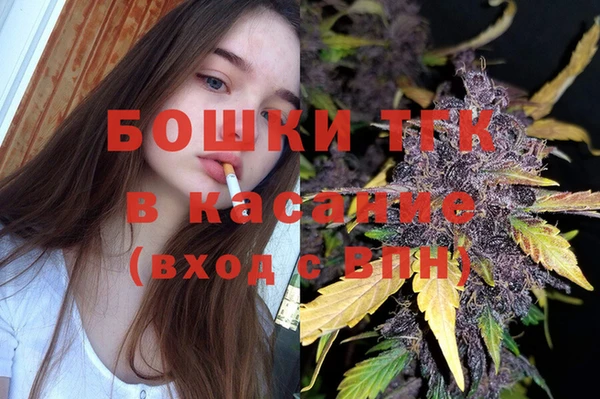 гидропоника Бородино