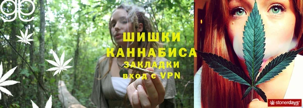 гидропоника Бородино